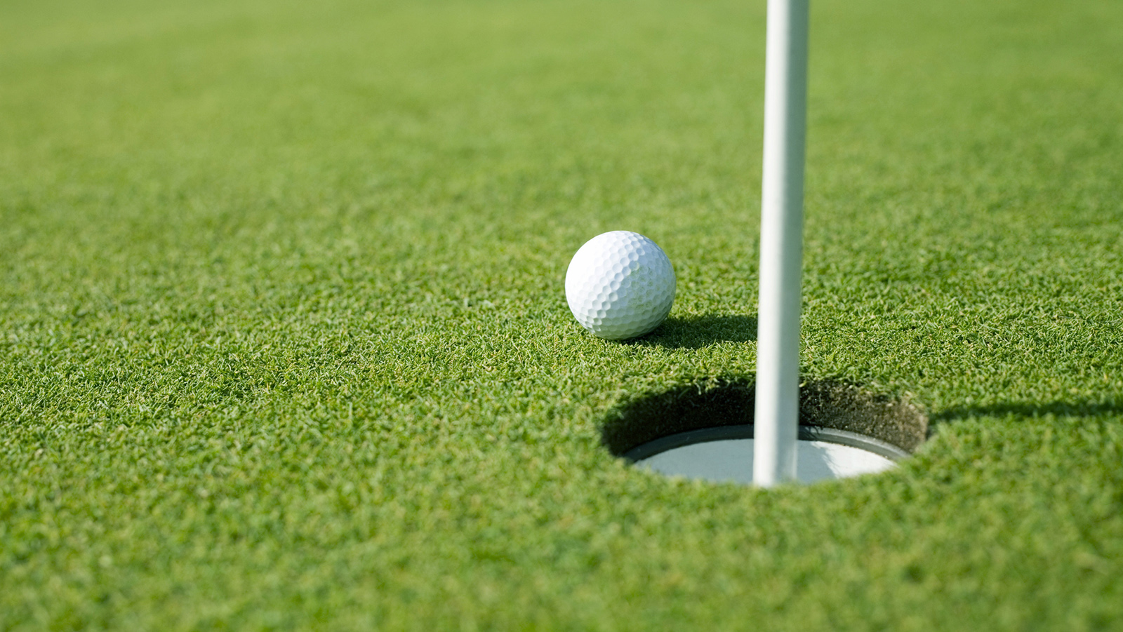 Renovación integral de greens